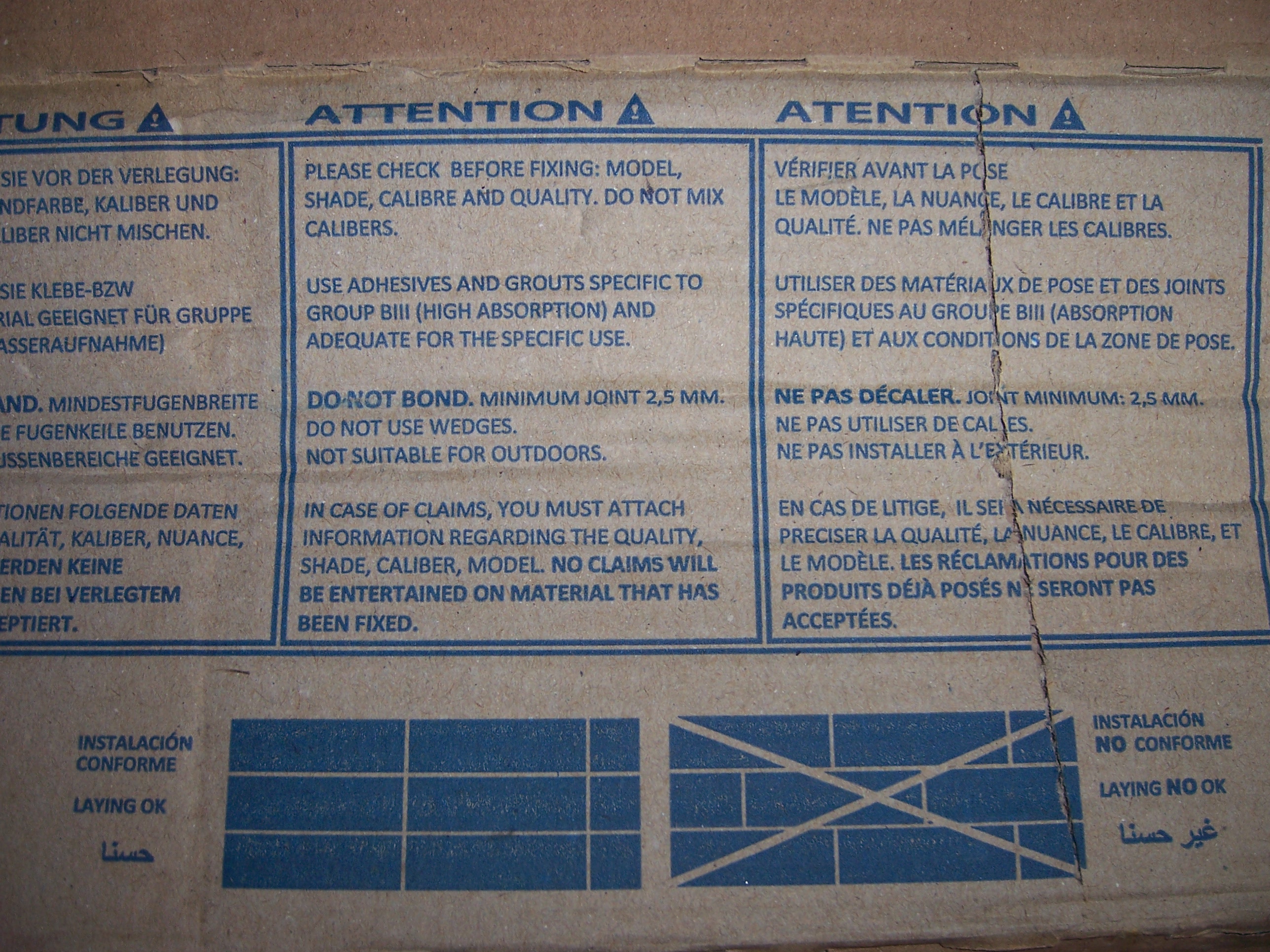 100_8050.JPG