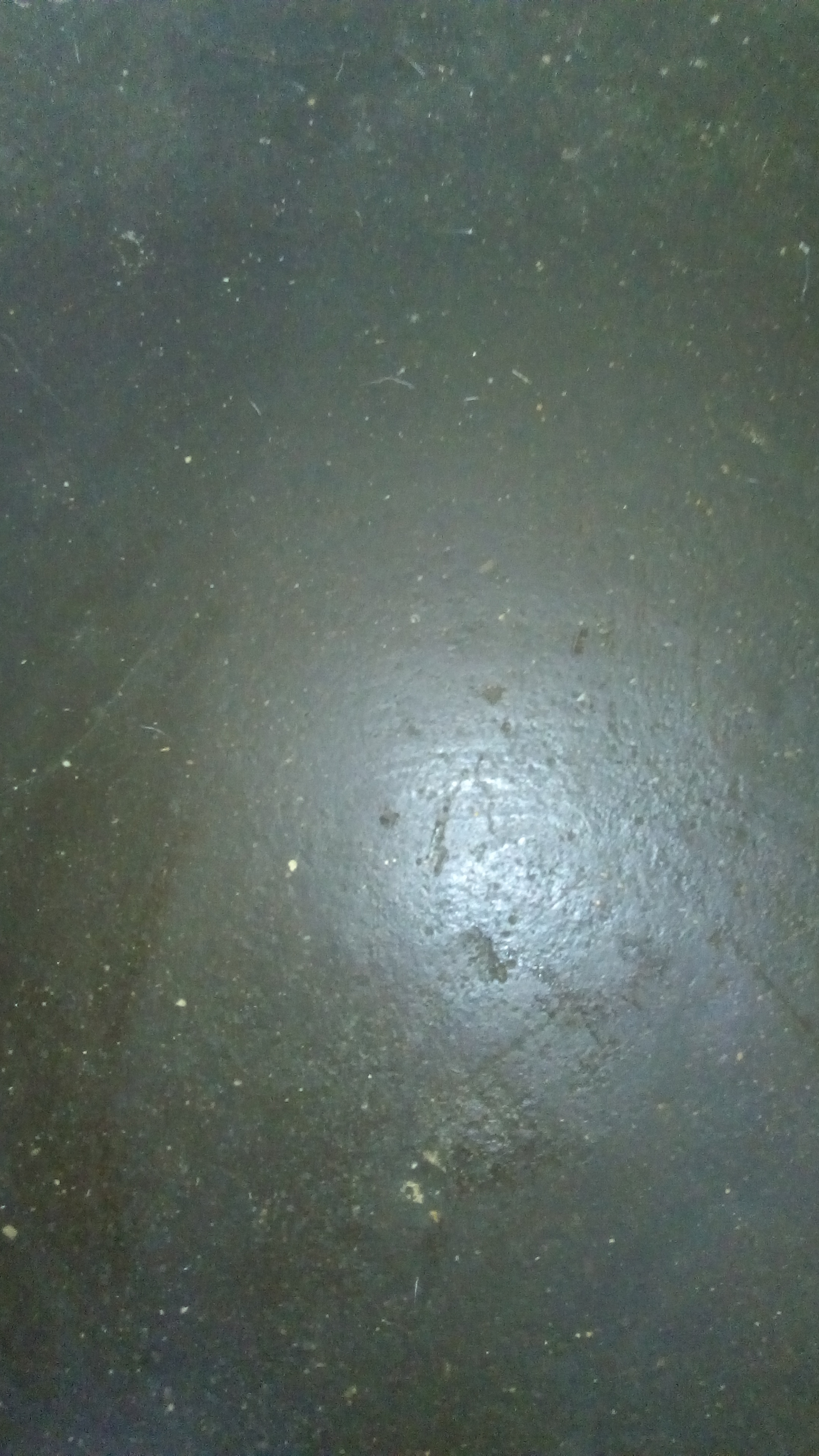175.jpg