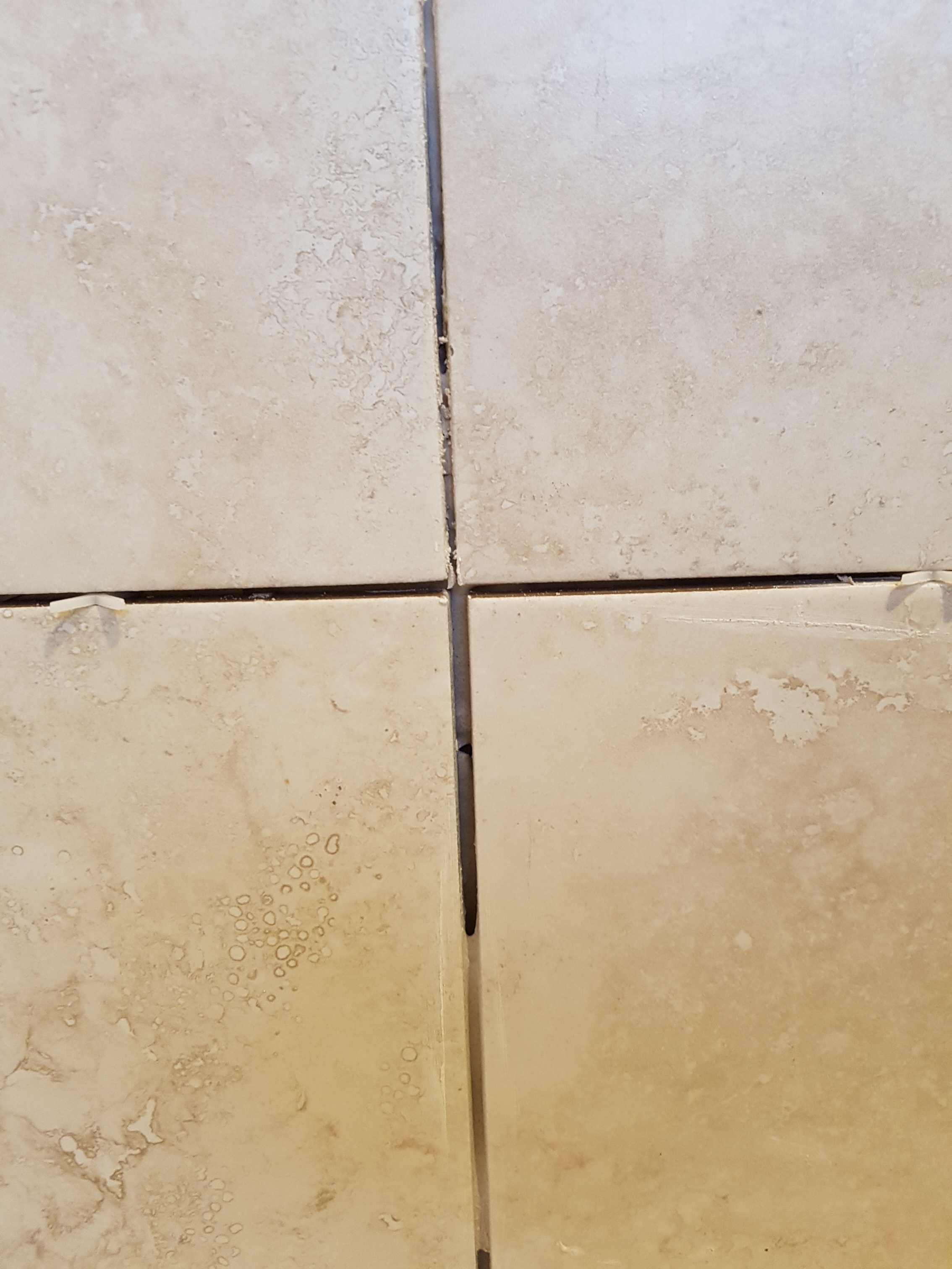 20170221_170829_resized[1].jpg