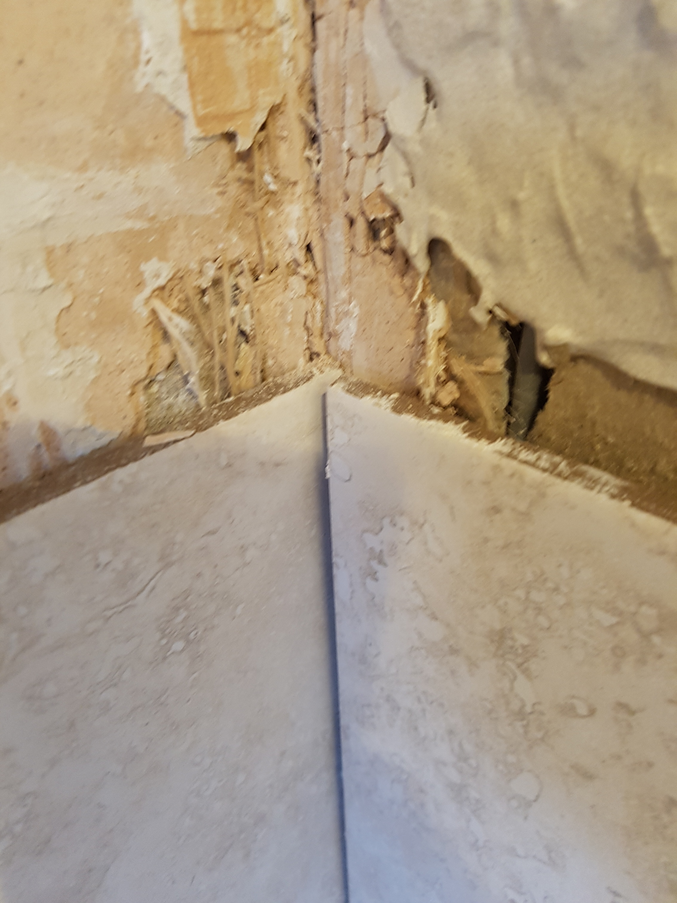 20170221_170913_resized[1].jpg