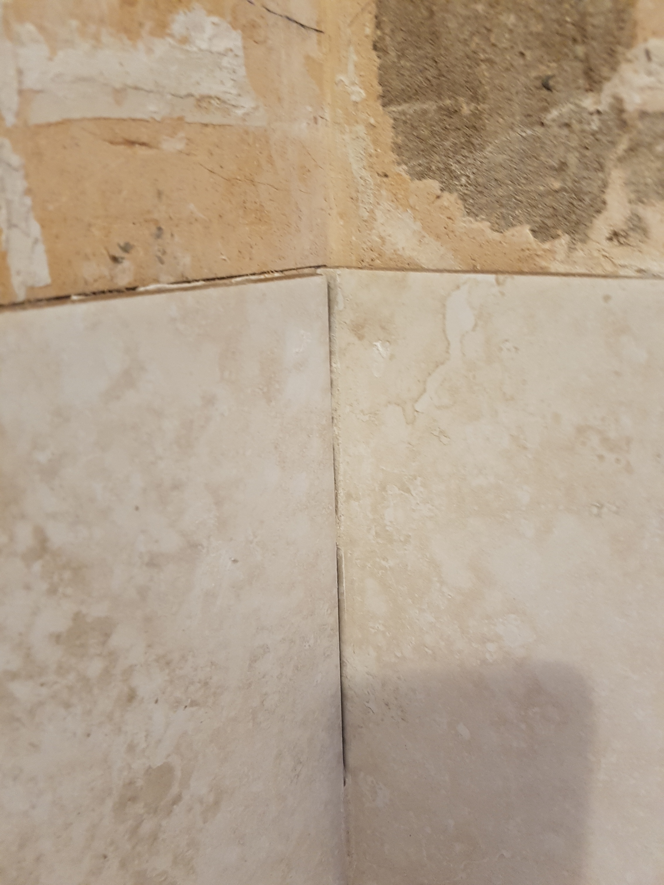 20170221_170922_resized[1].jpg