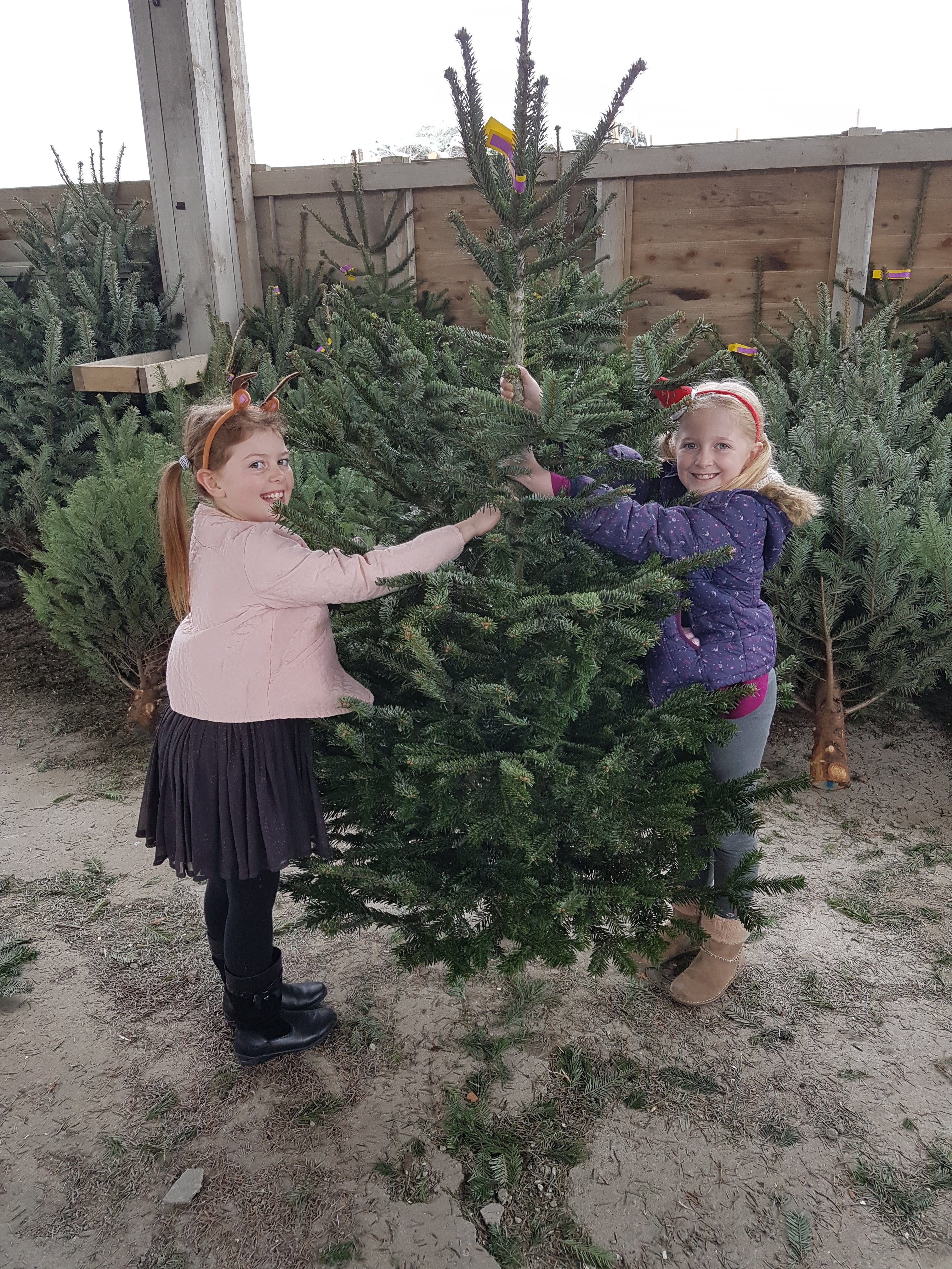 20171202_115041.jpg