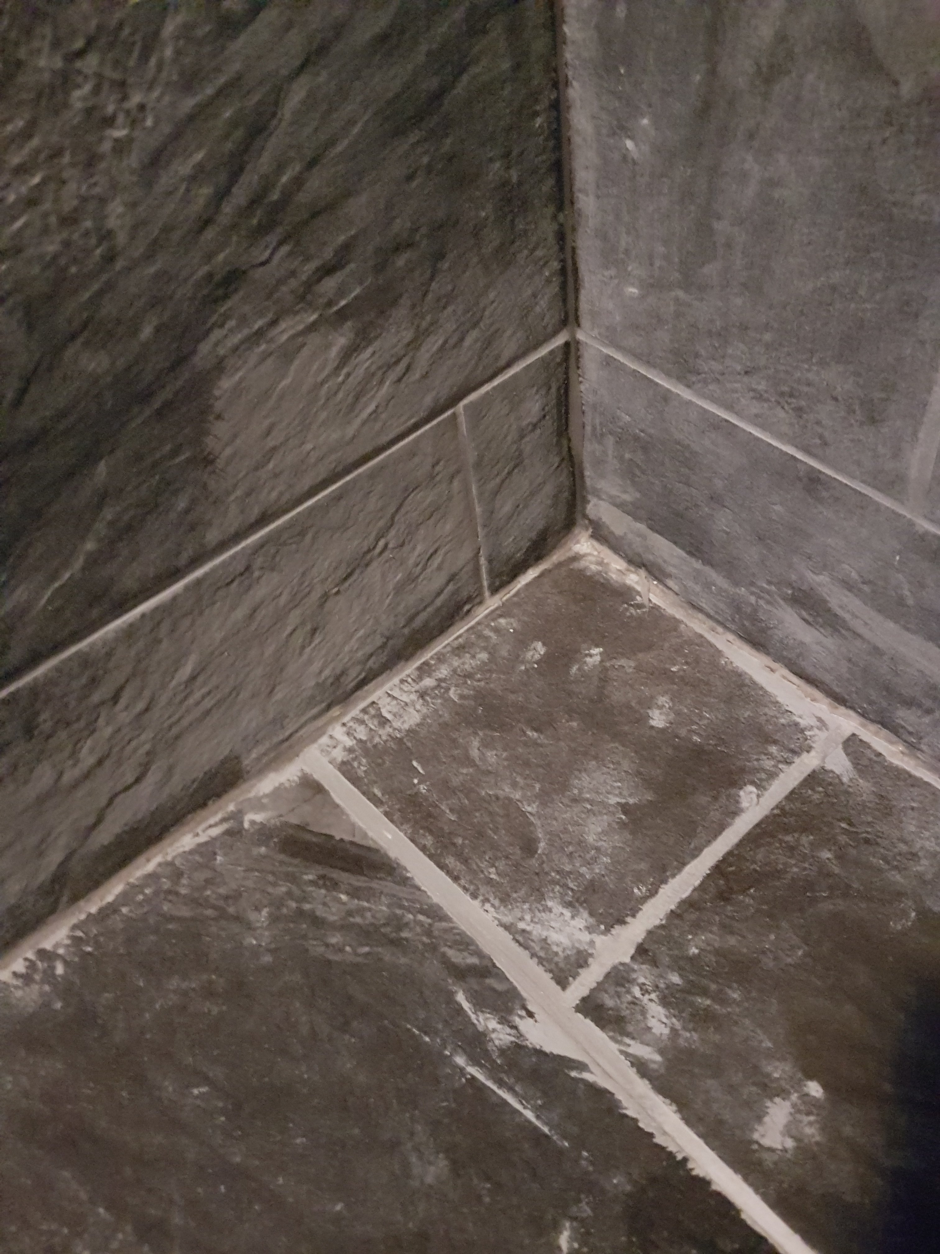 20180126_100207.jpg
