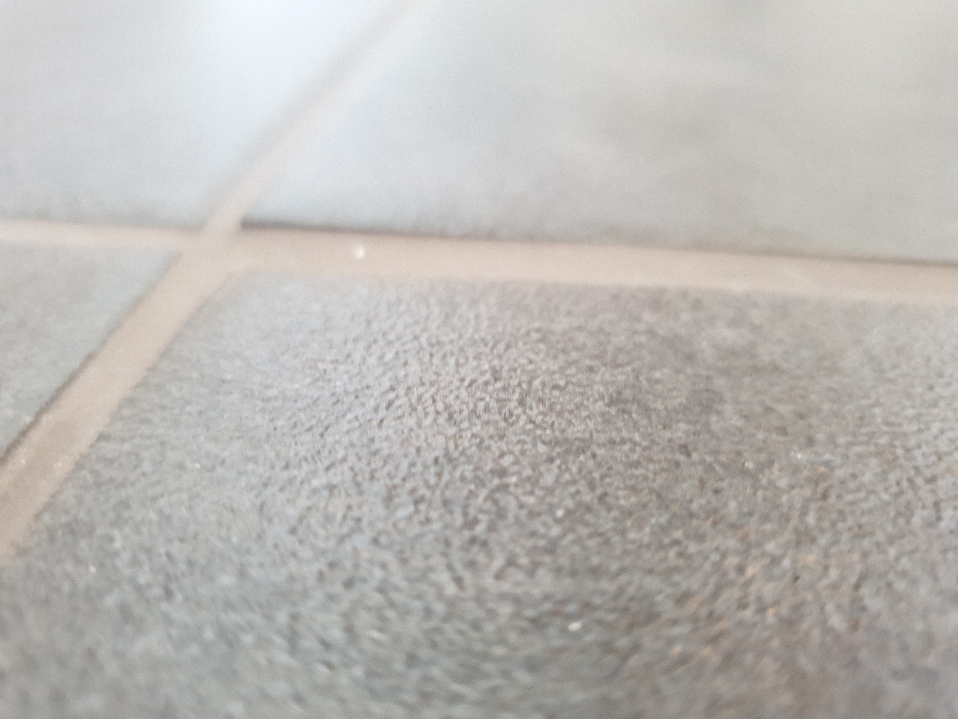 20180506_074154.jpg