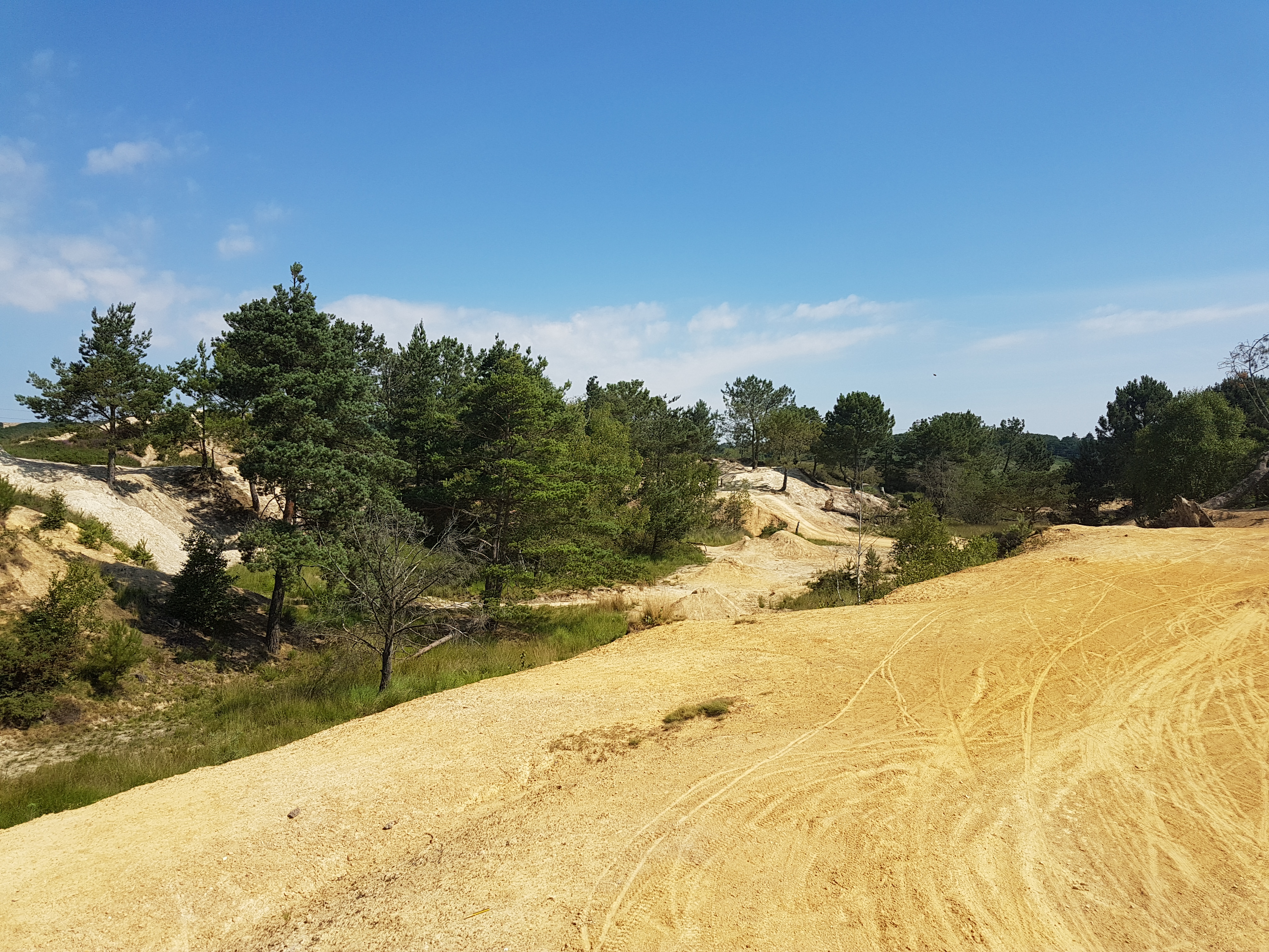 20180709_103043.jpg