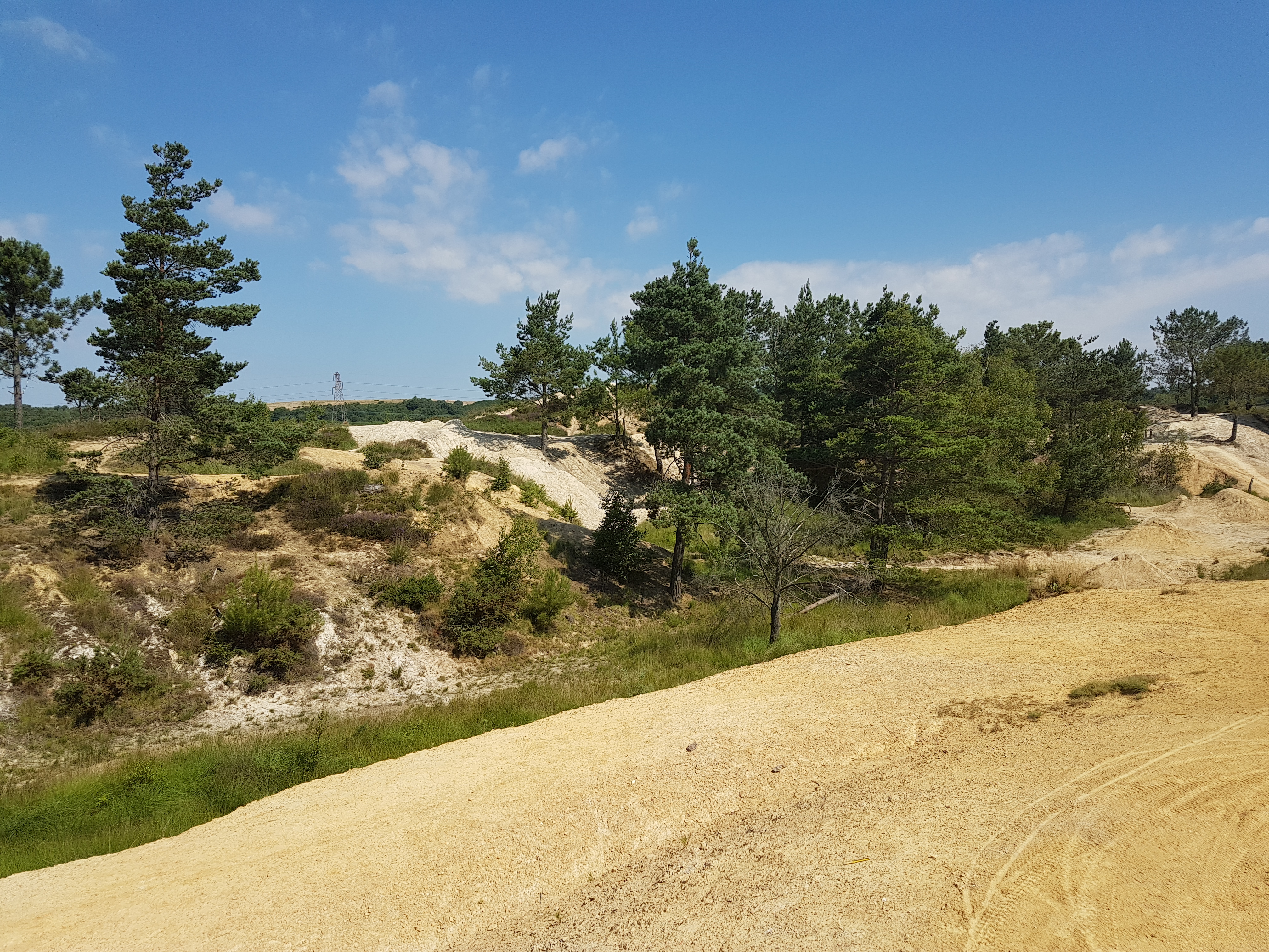 20180709_103049.jpg