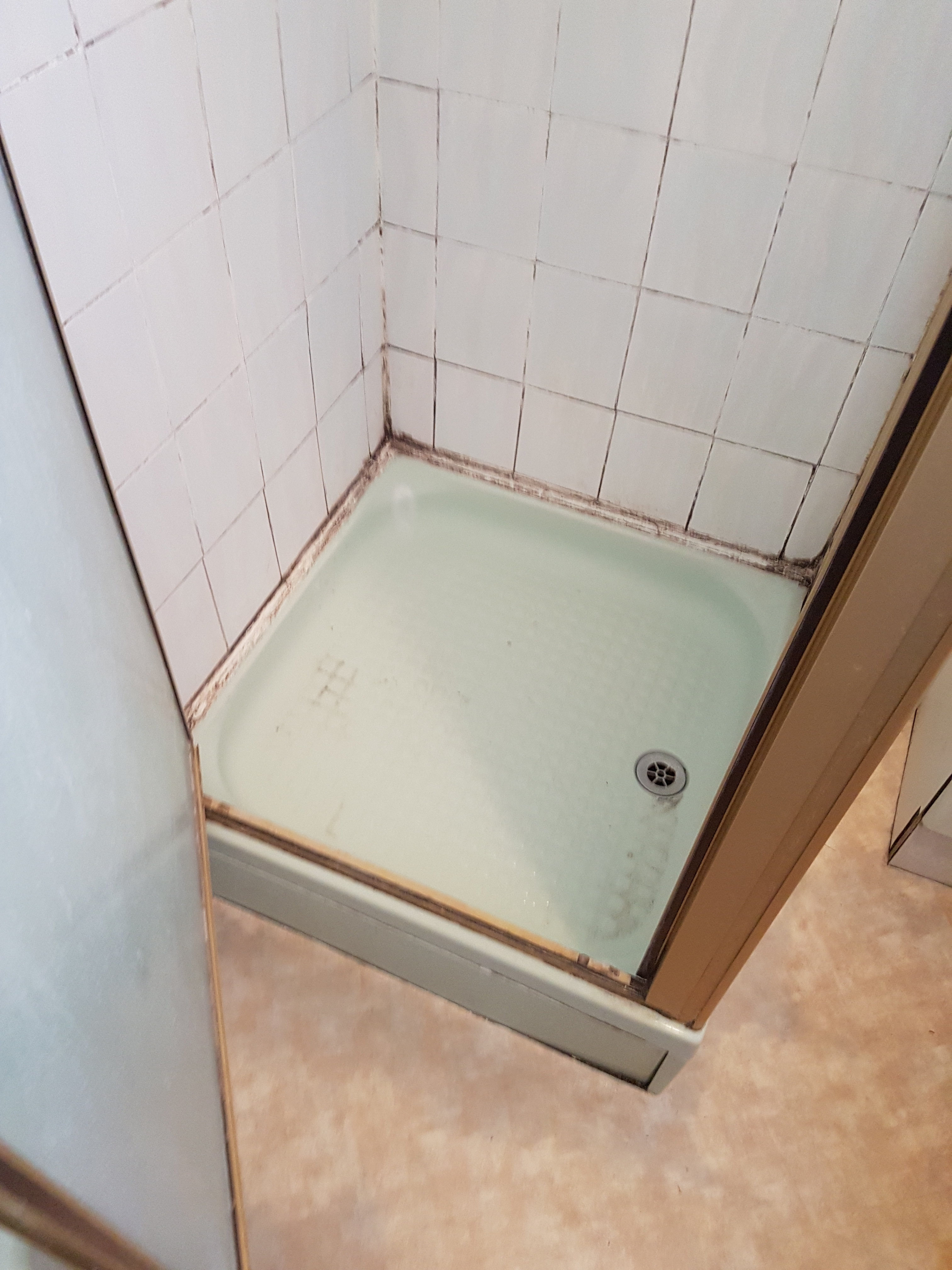 20181126_085501.jpg