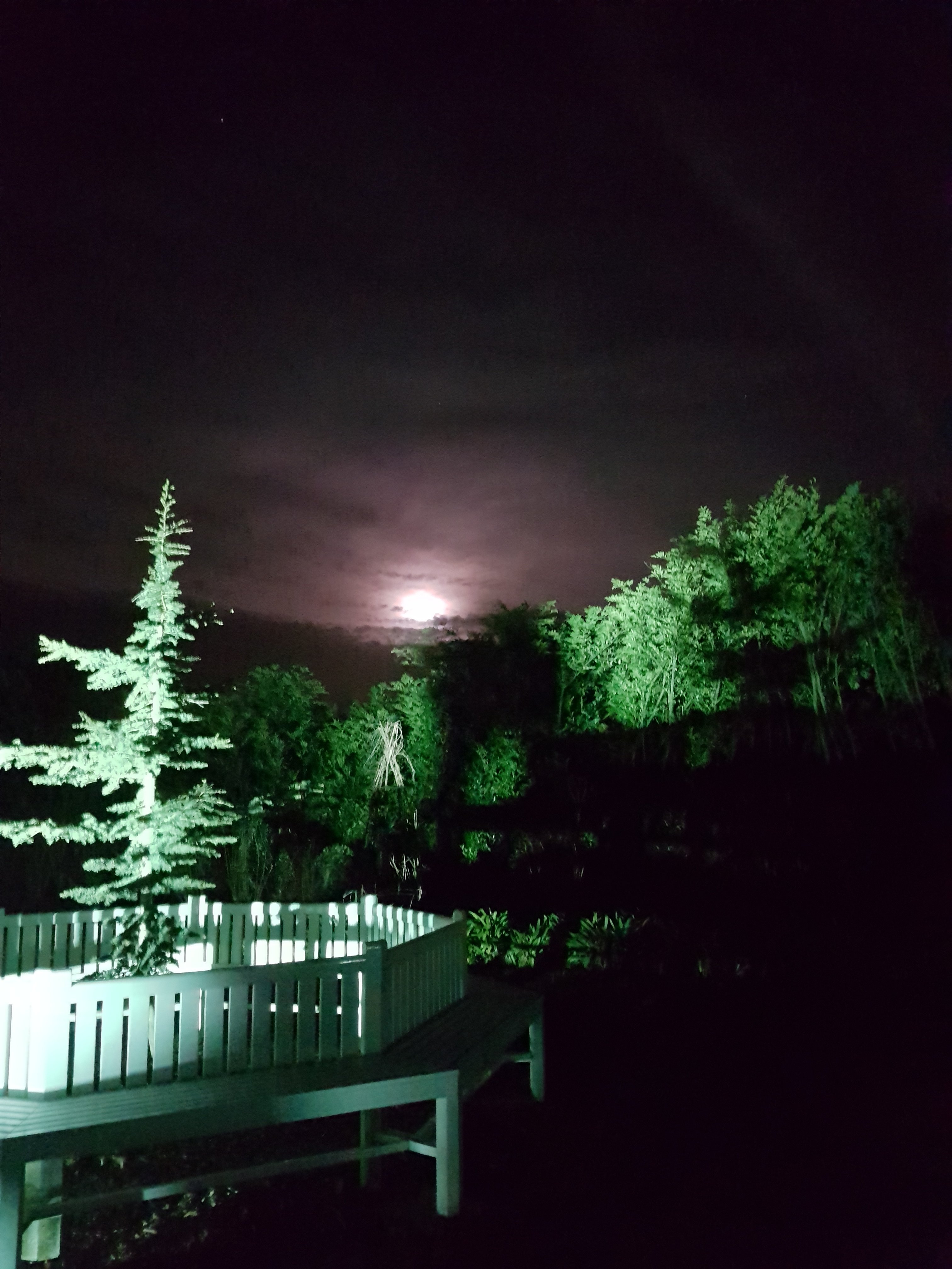 20181222_174405.jpg