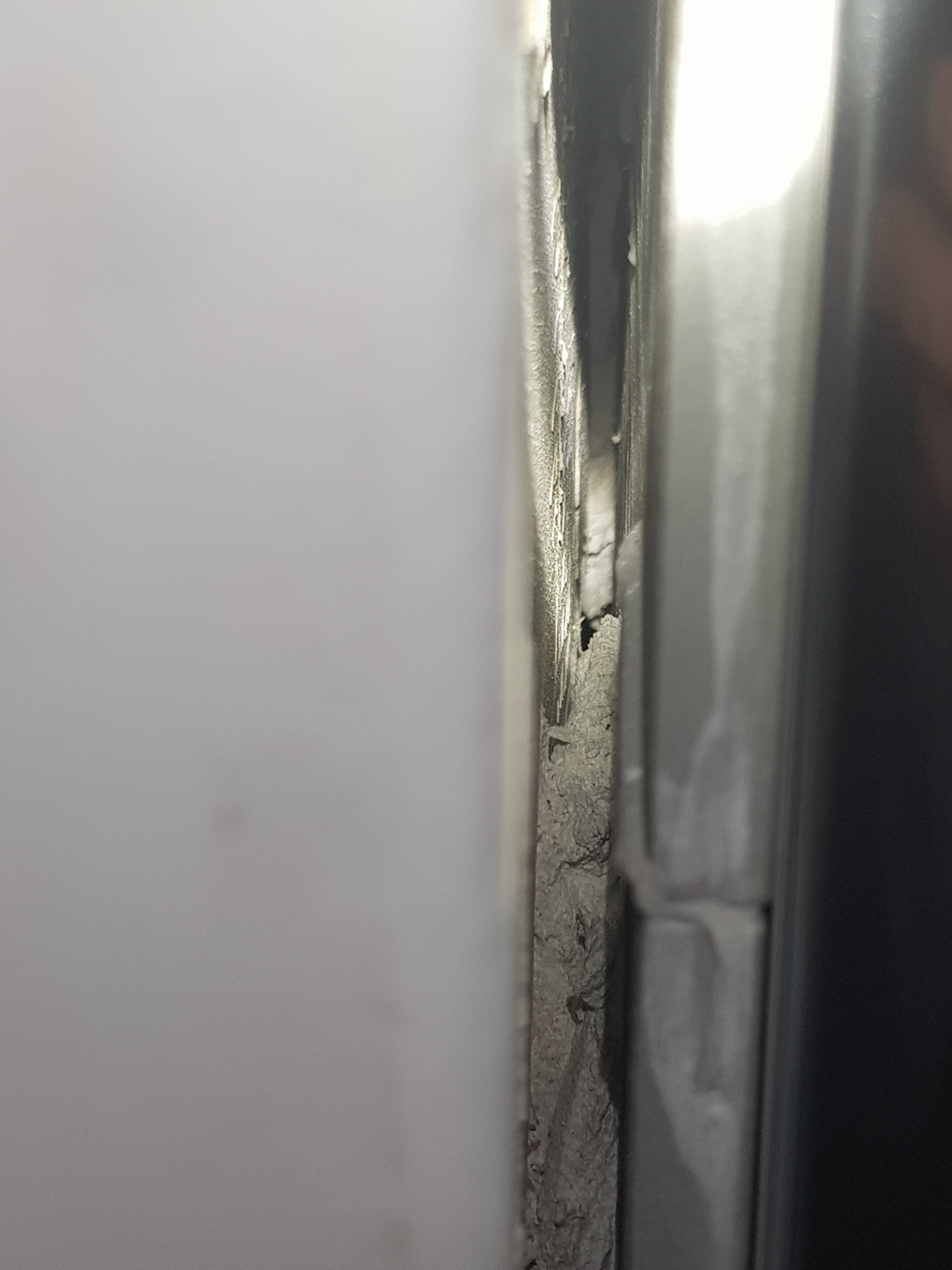 20190302_062410.jpg