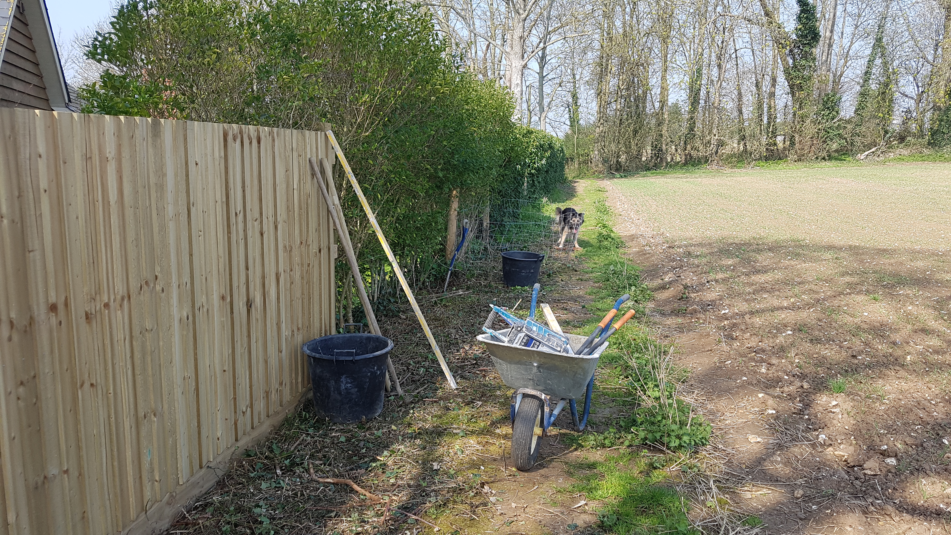 20190330_105411.jpg