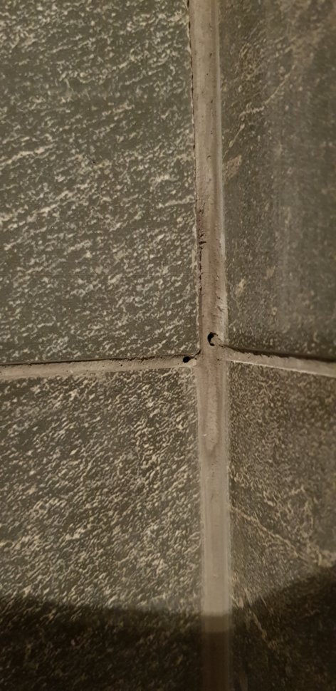 20191101_230518.jpg