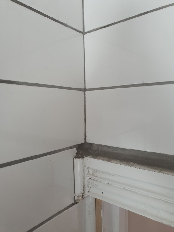 20200803_143509.jpg