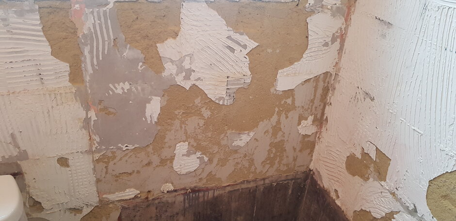 20201013_150419.jpg