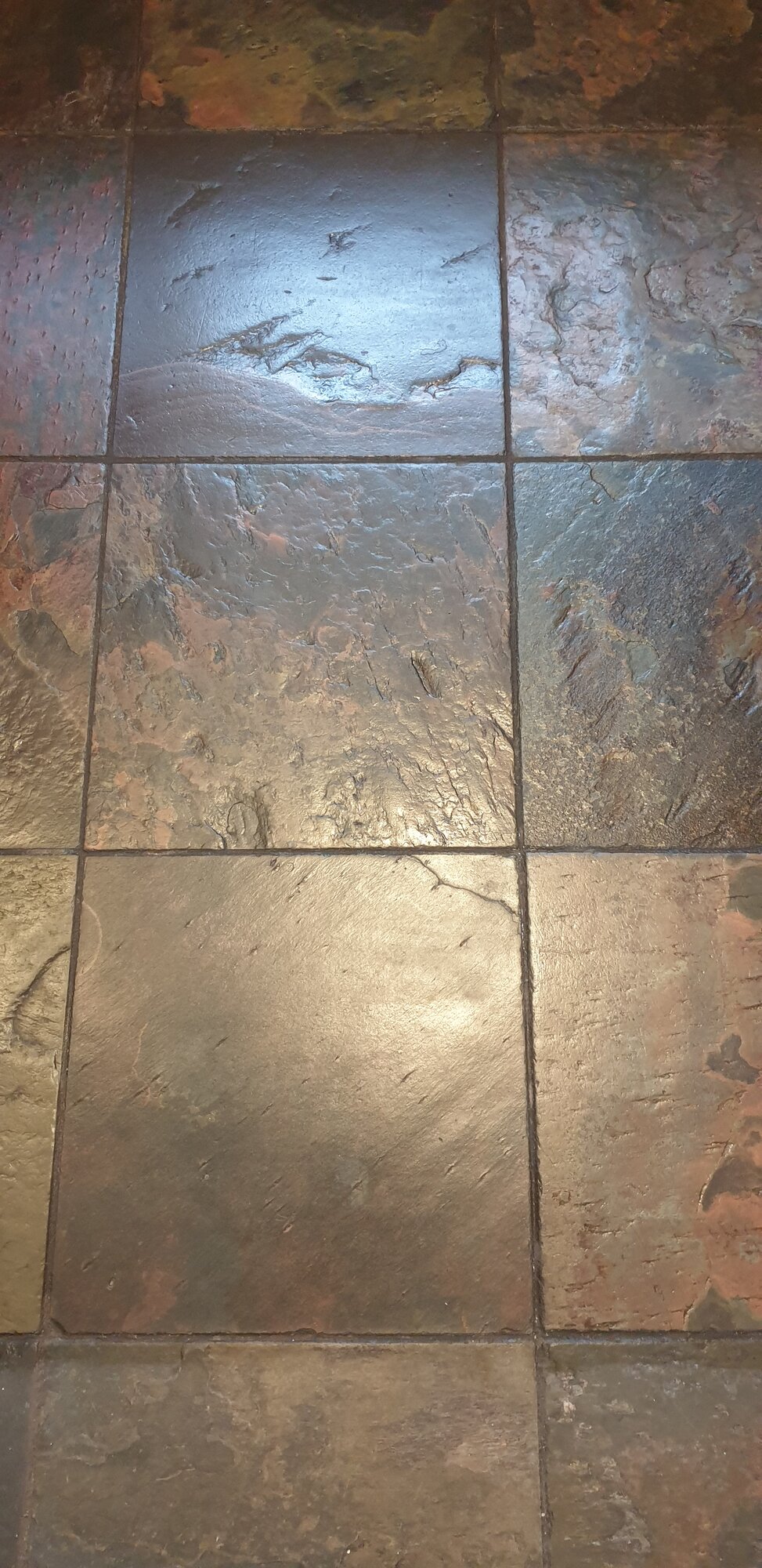 20210408_180605.jpg