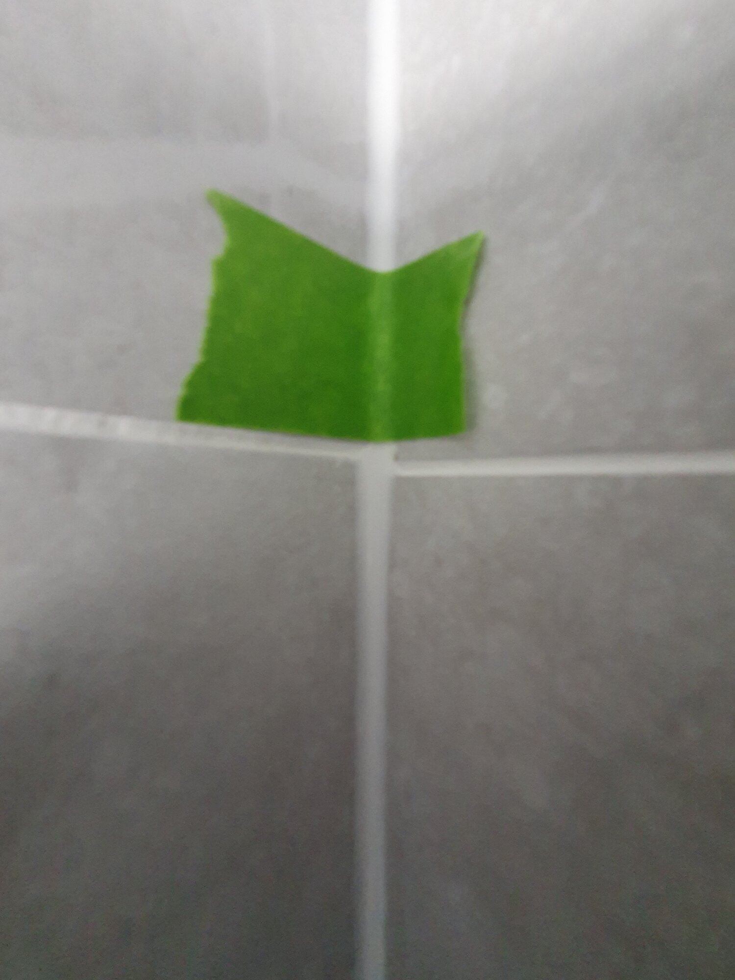 20210504_133713.jpg