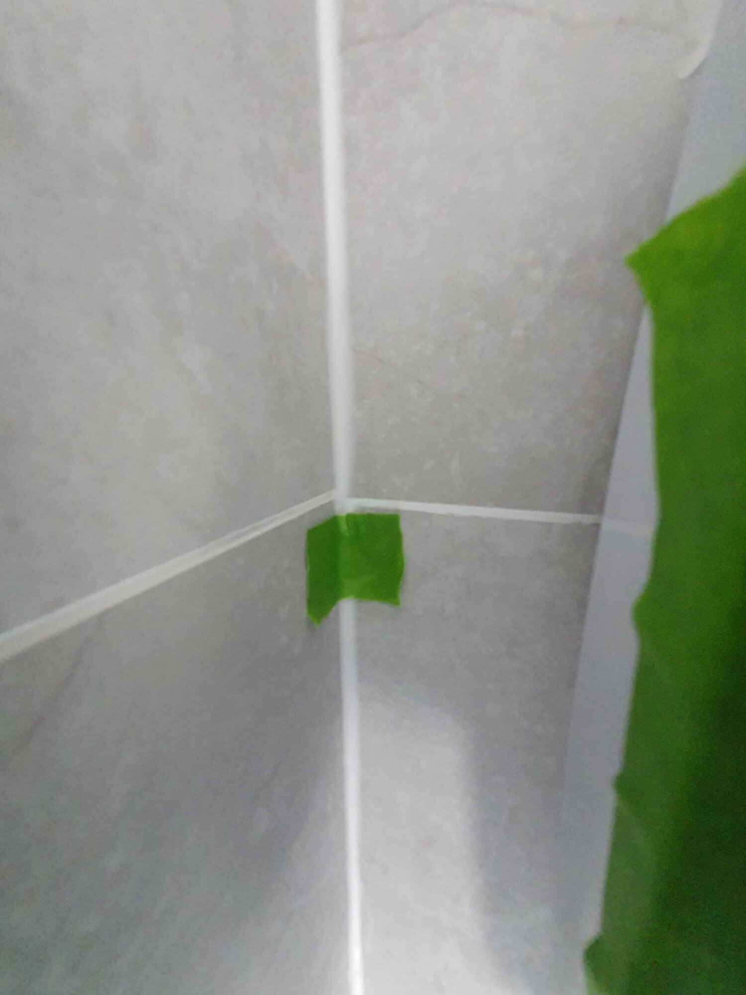 20210504_133724.jpg