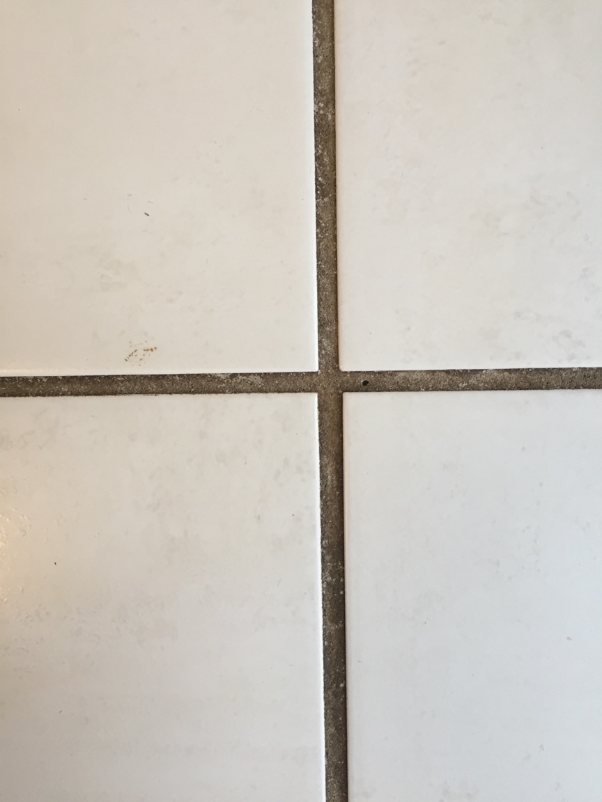 521492590.jpg