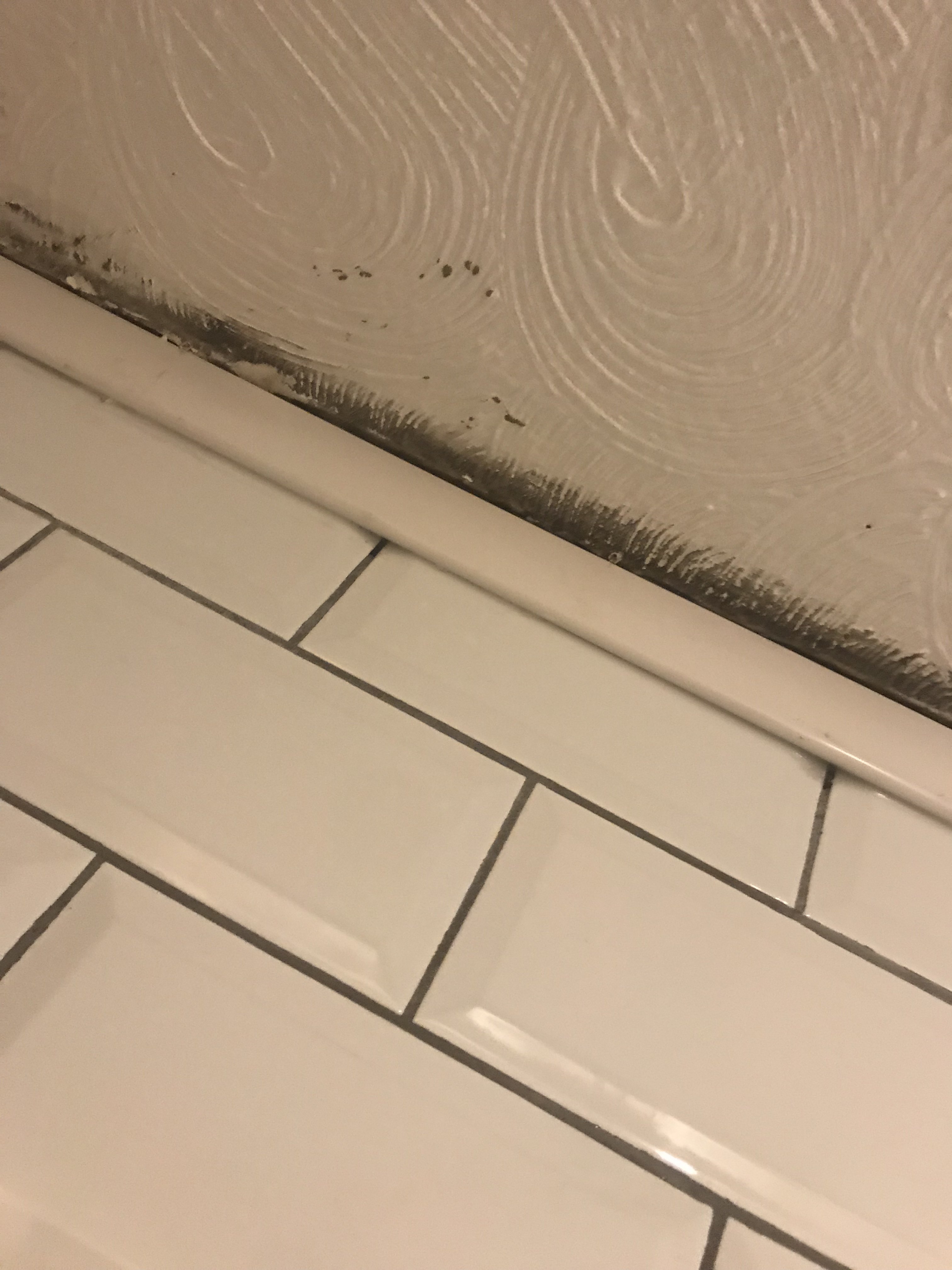 599917ED-3678-43E8-B6B5-F2C87651158E.jpeg