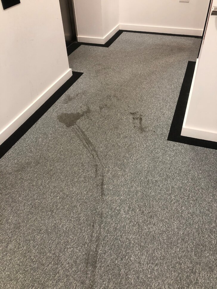 AHSA 3rd Floor Carpet Stains (002).jpg