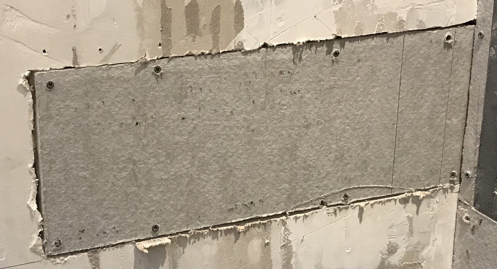 C2EA723F-D125-4165-8EA9-D0FD043736F5.jpeg