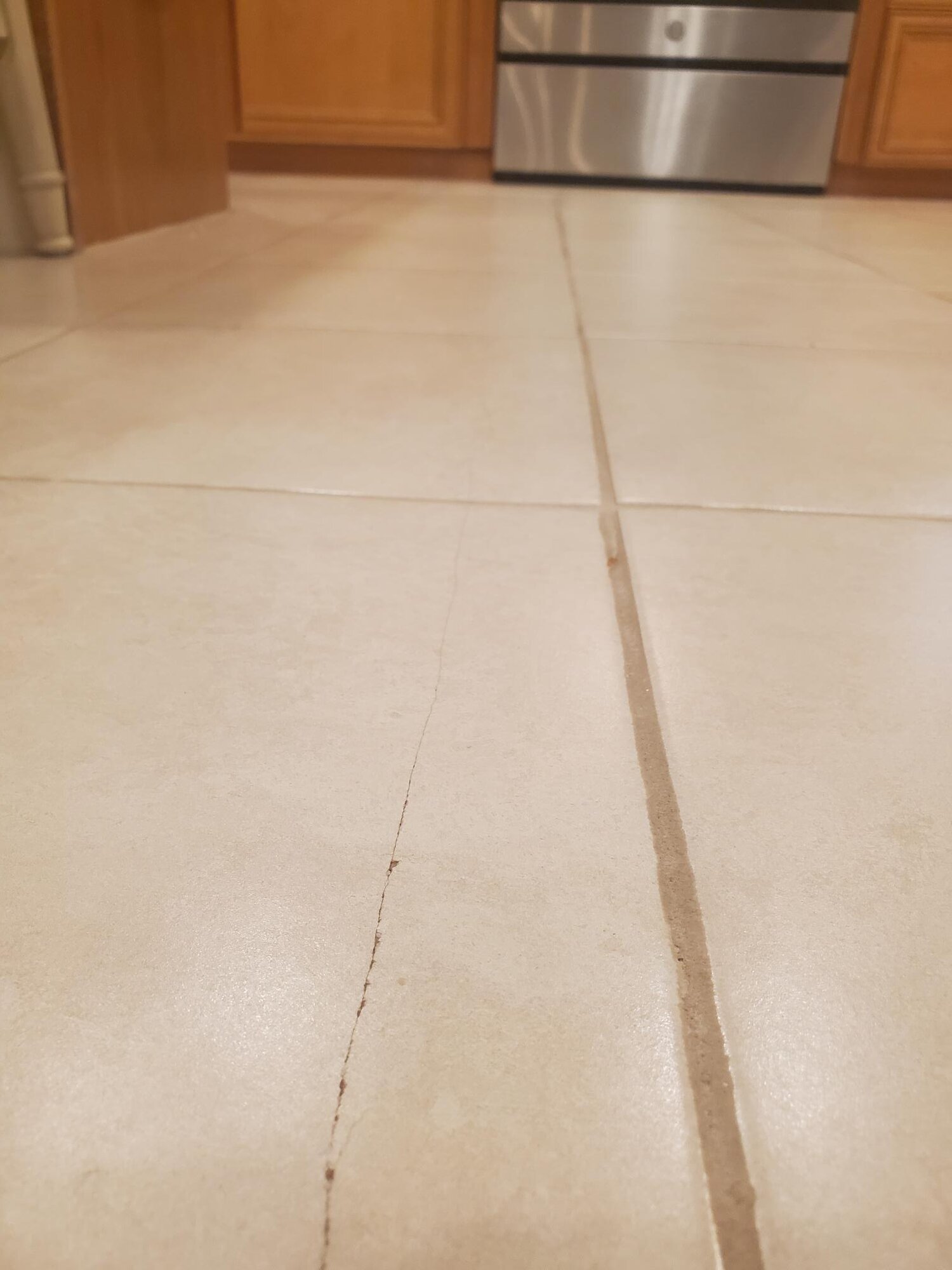 Cracked tile - 1.jpg