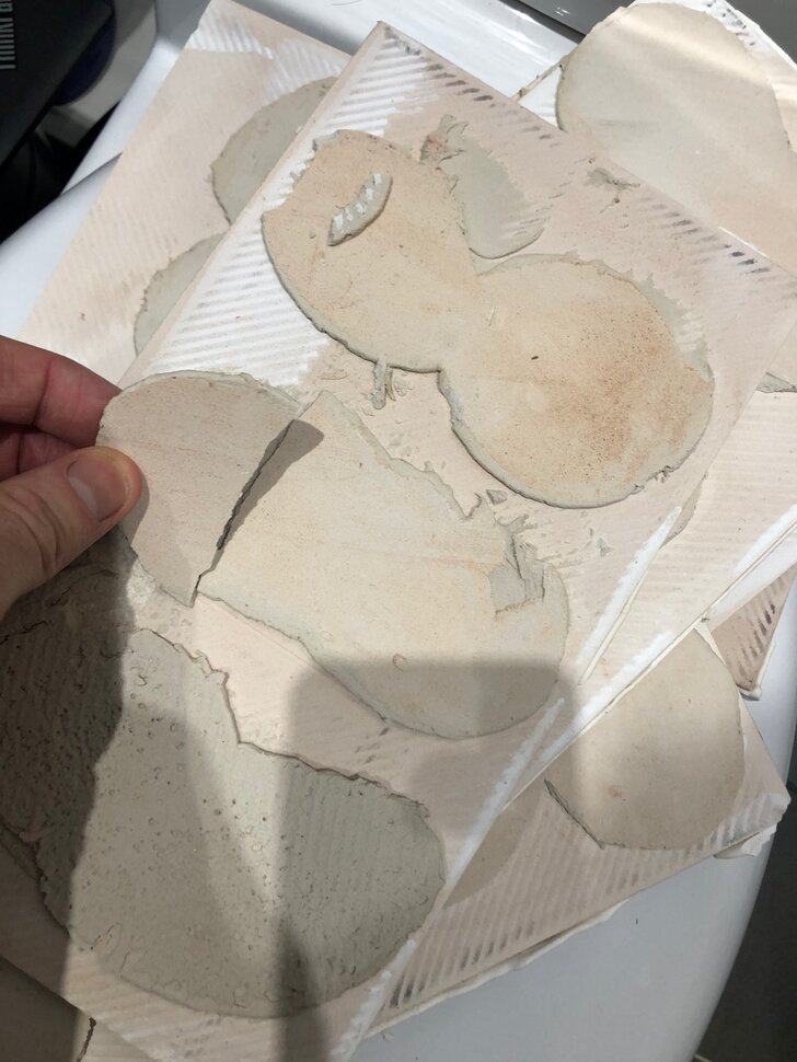 EnSuite Damage4.jpg