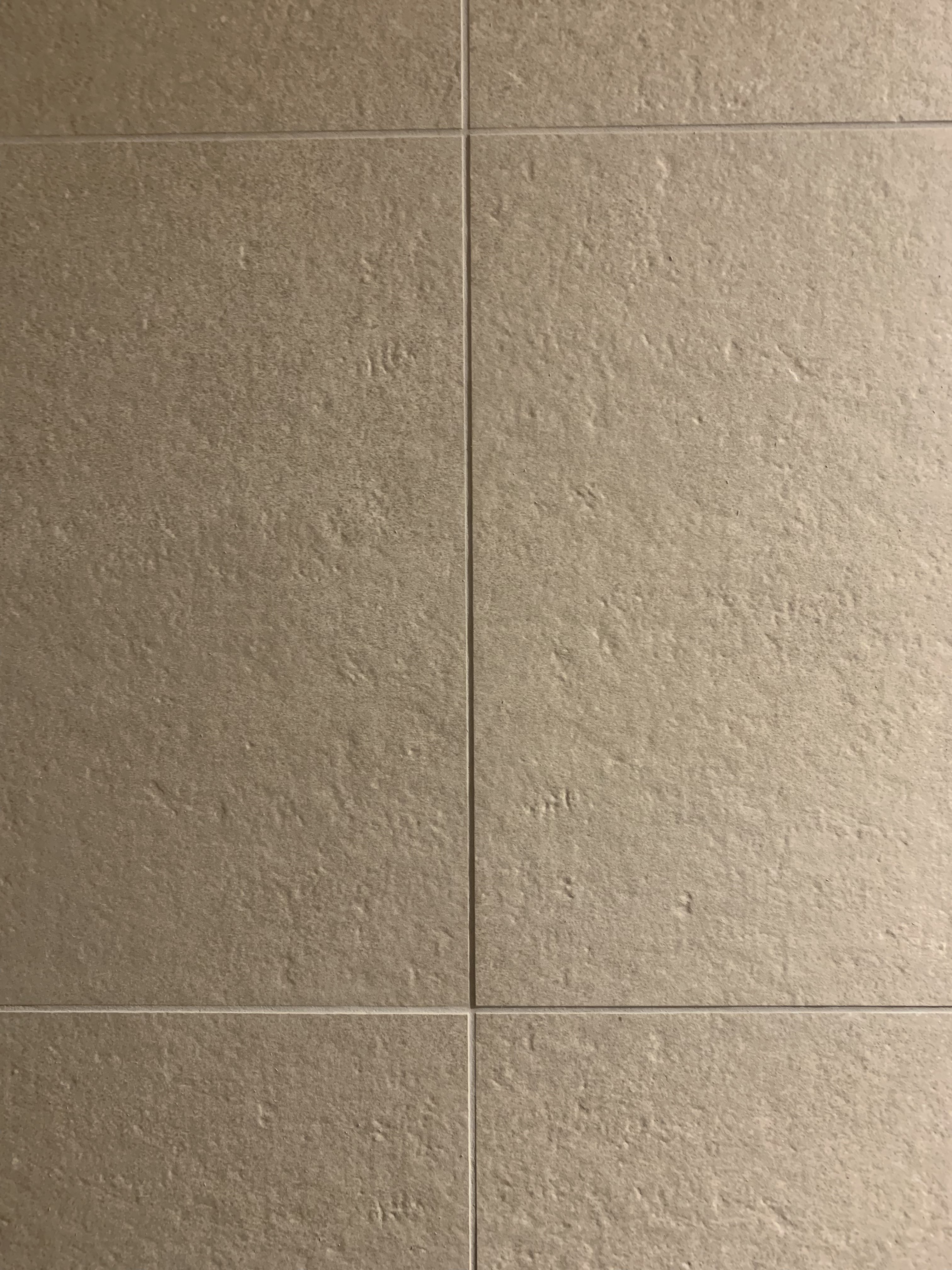 F78EC774-F40B-462B-8F68-706E040AB8B0.jpeg