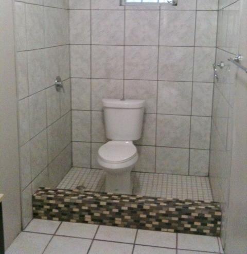 Funny-Real-Estate-toilet-in-shower-stall.jpg
