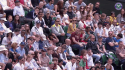 giphy-tumblr.gif