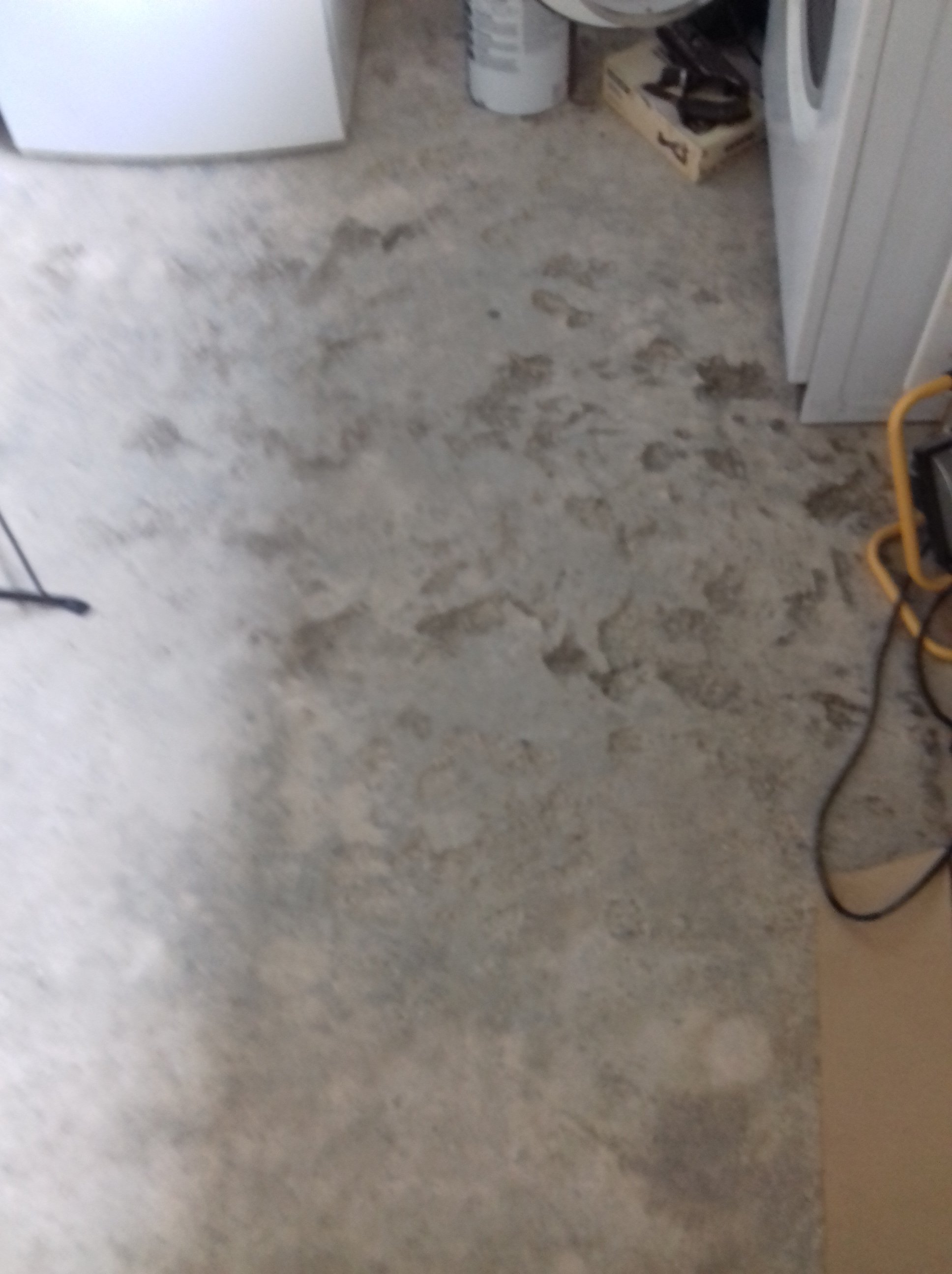 IMG-20170411-WA0009.jpeg