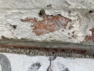 IMG_1408.jpeg
