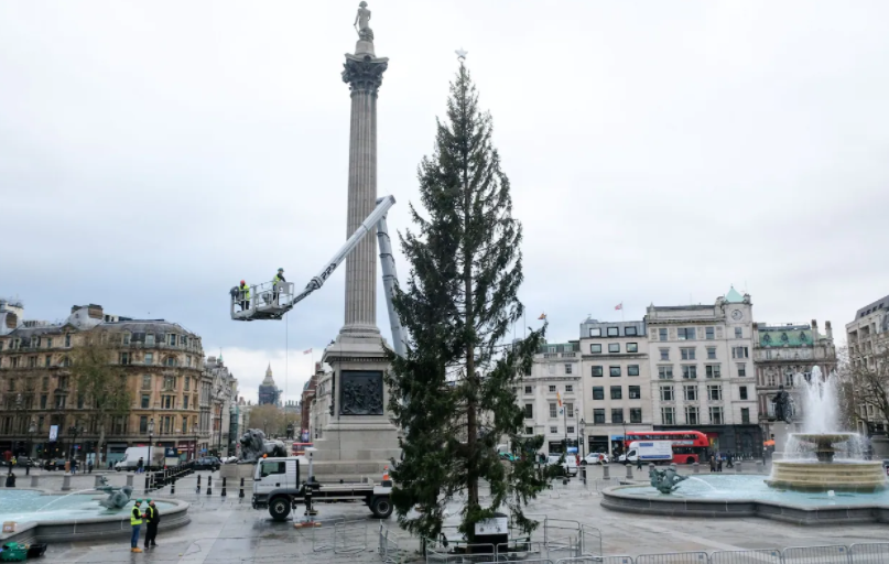 london-christmas-tree.png