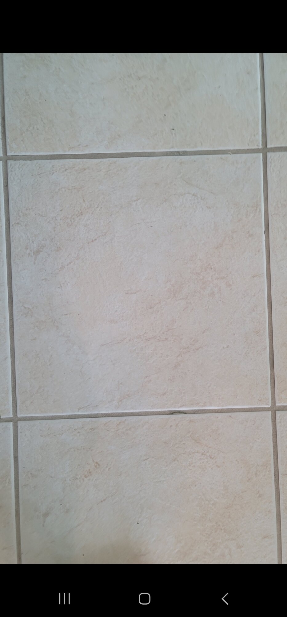 Screenshot_20231124_215817_Gallery.jpg
