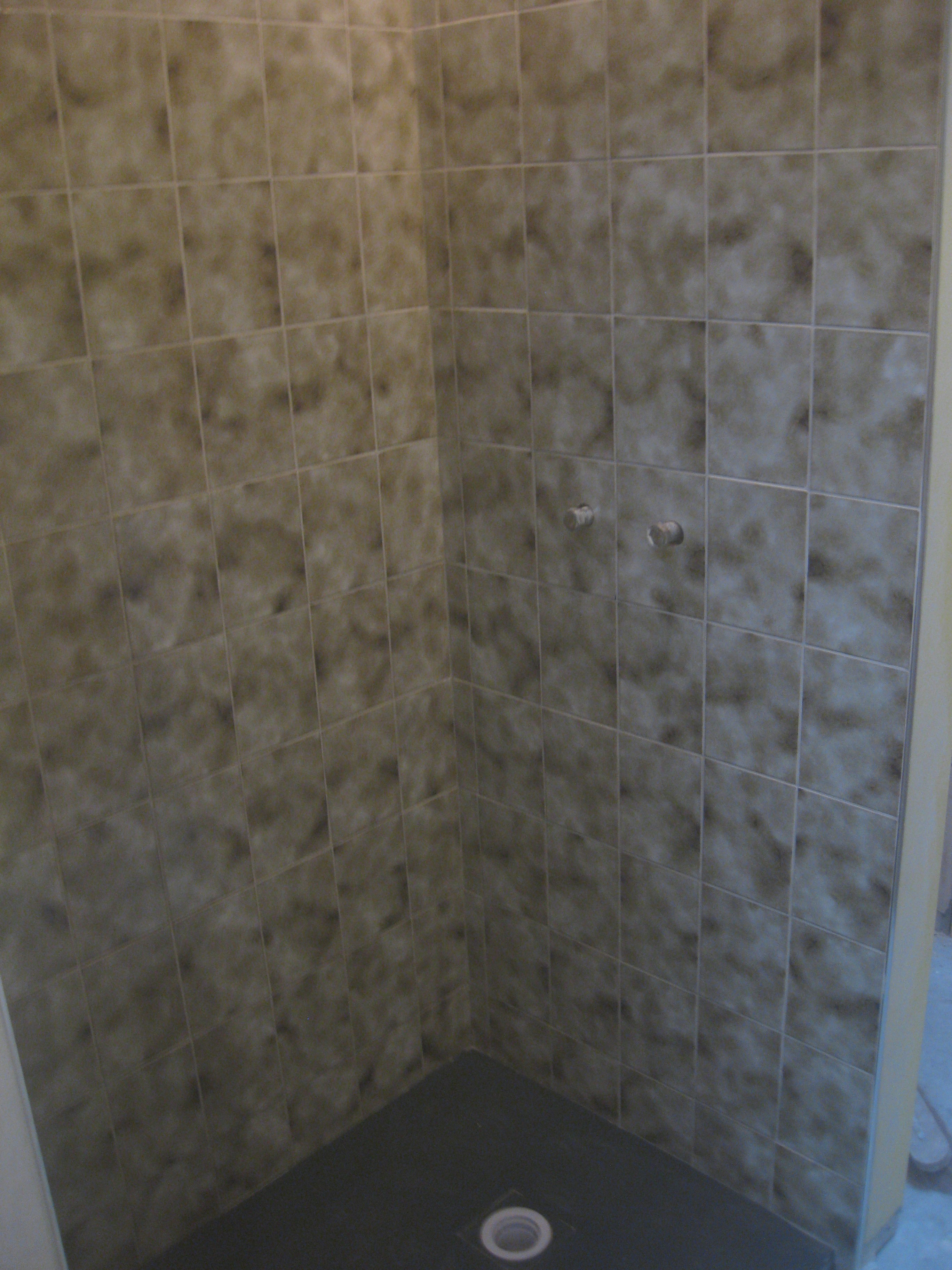 Towhouse 006.JPG