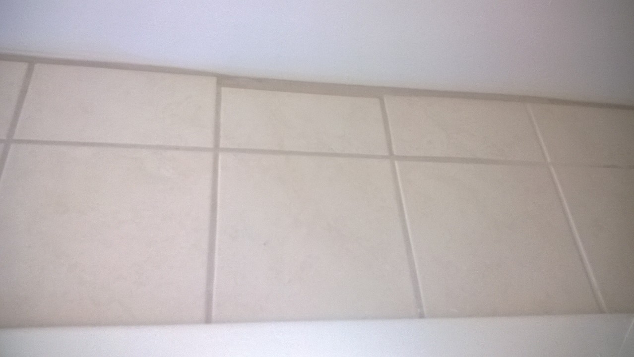 WP_20140303_001.jpg