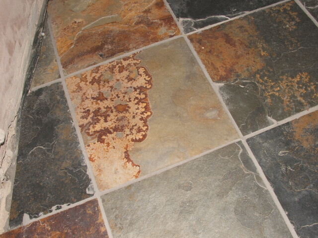 2007_01170226.JPG