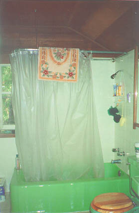 greenbathroom.jpg