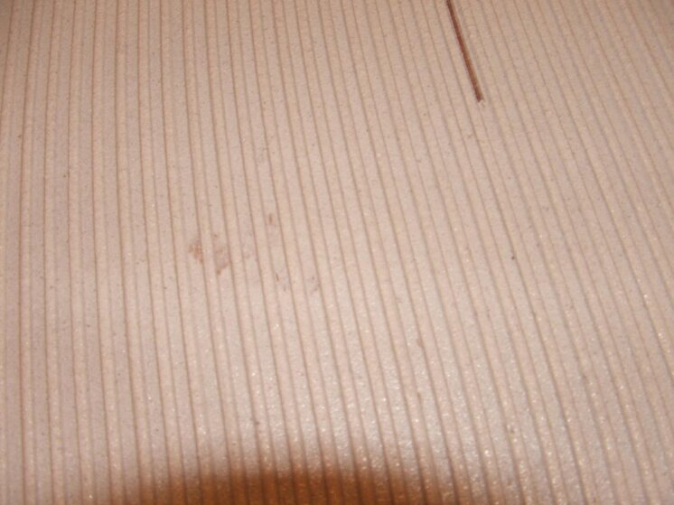 2008_0906tilingnew0019.jpg