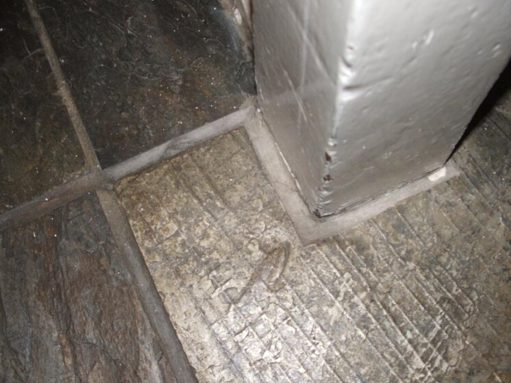 2004_0106slate0009.jpg