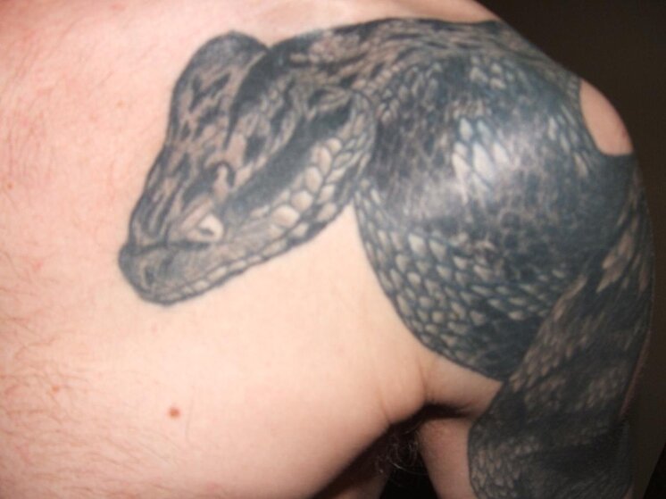 2004_0101snake0001.jpg