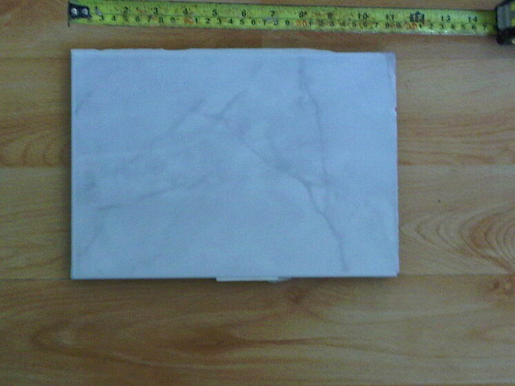 IMG00236-20110628-1439.jpg