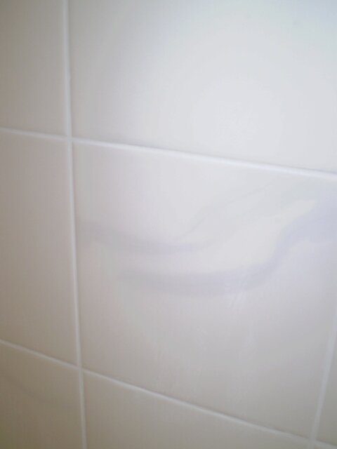 tile4.jpg