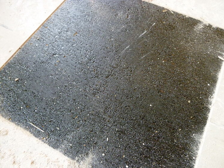 P1000559_resize.JPG