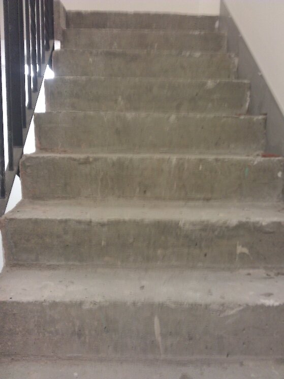 IMAG0666.jpg