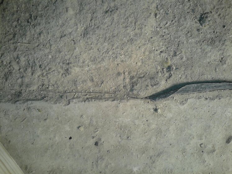 20120316_175917.jpg
