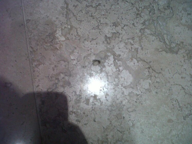 IMG00432-20120321-1509.jpg