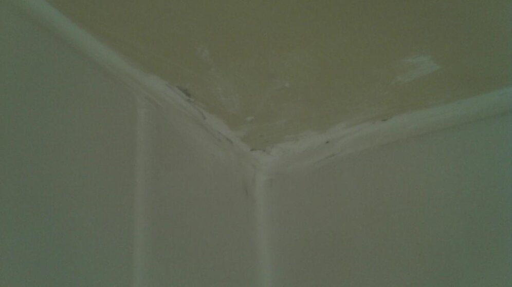 2012-04-10_15-31-28_712.jpg