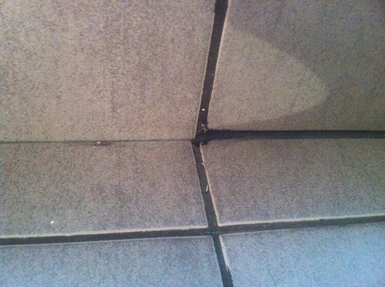 photo4.jpg