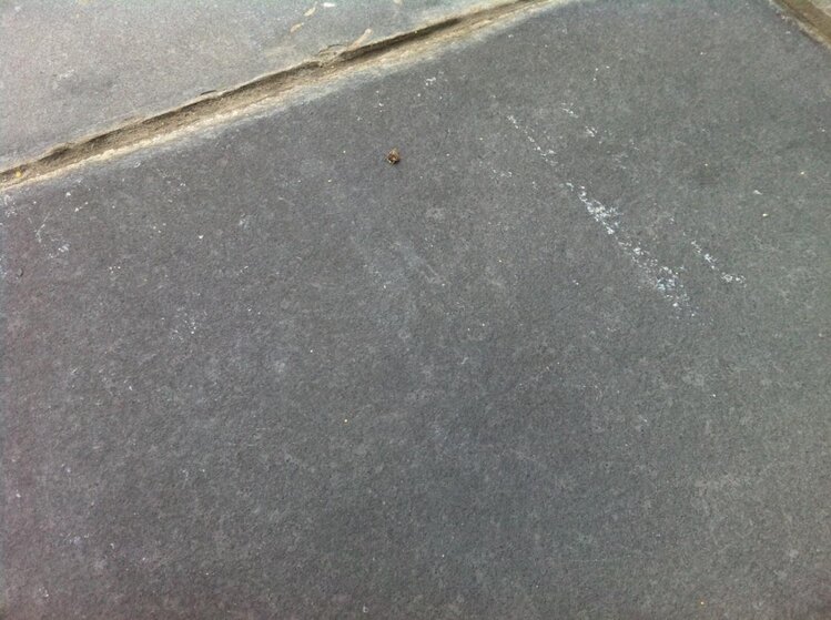 photo-3.jpg