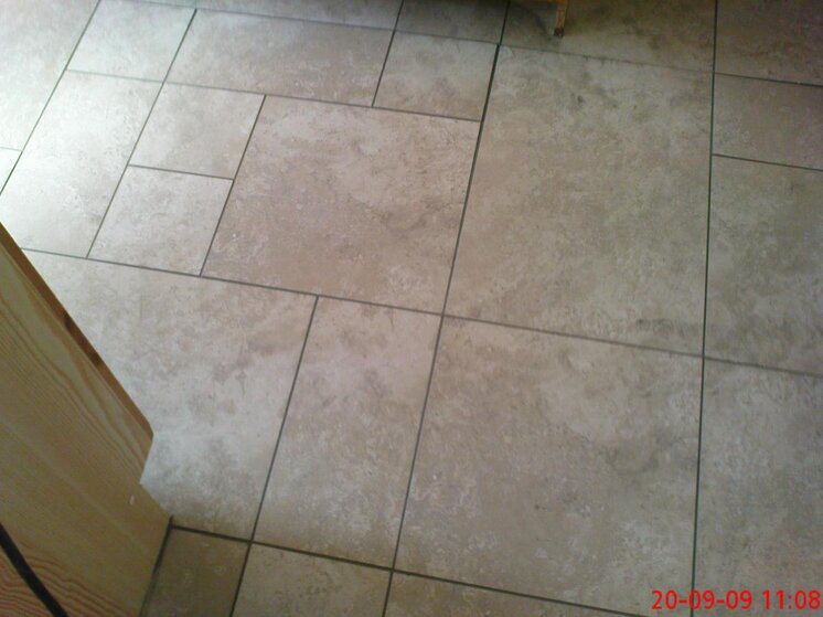 phone pics 029.jpg